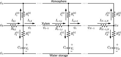 Leaf Water Storage and Robustness to Intermittent Drought: A Spatially Explicit Capacitive Model for Leaf Hydraulics